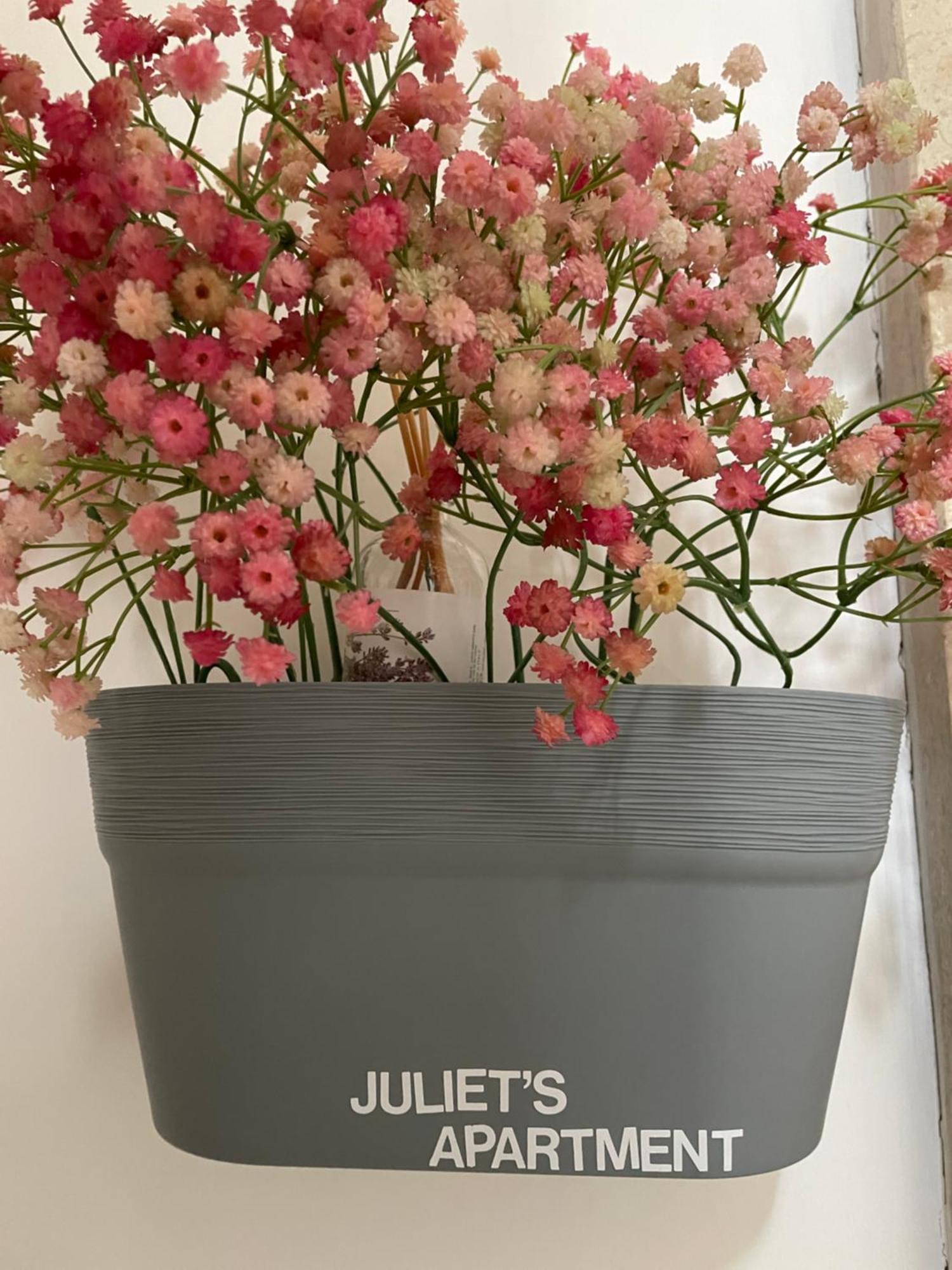 Juliet's Apartment *